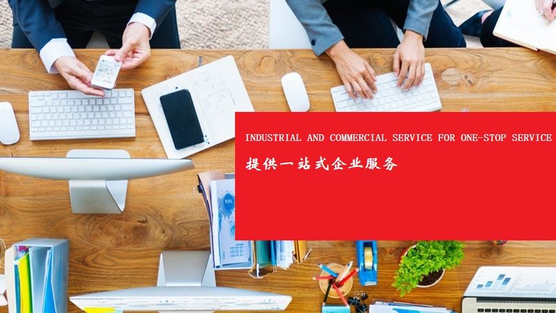企业自用可行性研究报告：价格背后的考量因素