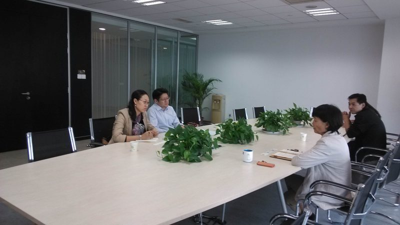 财务内控体系咨询：剖析其优缺点，助力企业稳健前行**