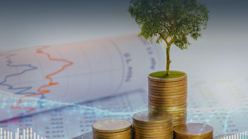 智慧物流管理体系咨询：上海企业如何优化物流管理**